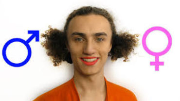 Kwebbelkop Net Worth